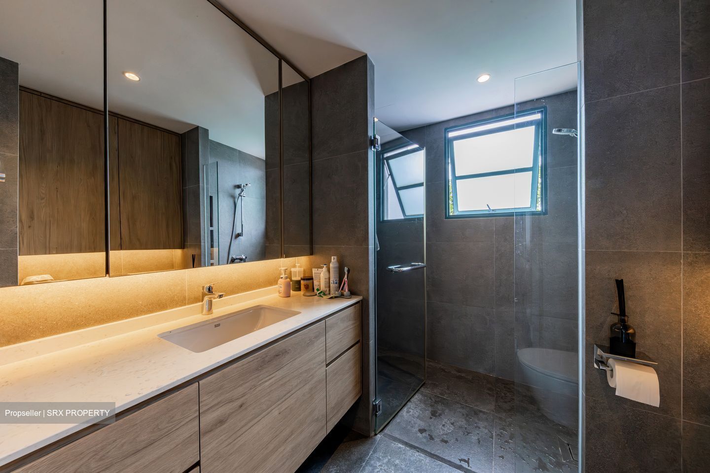 The Hillside (D21), Condominium #502538581